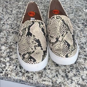 Steve Madden Snake Skin Slip ons